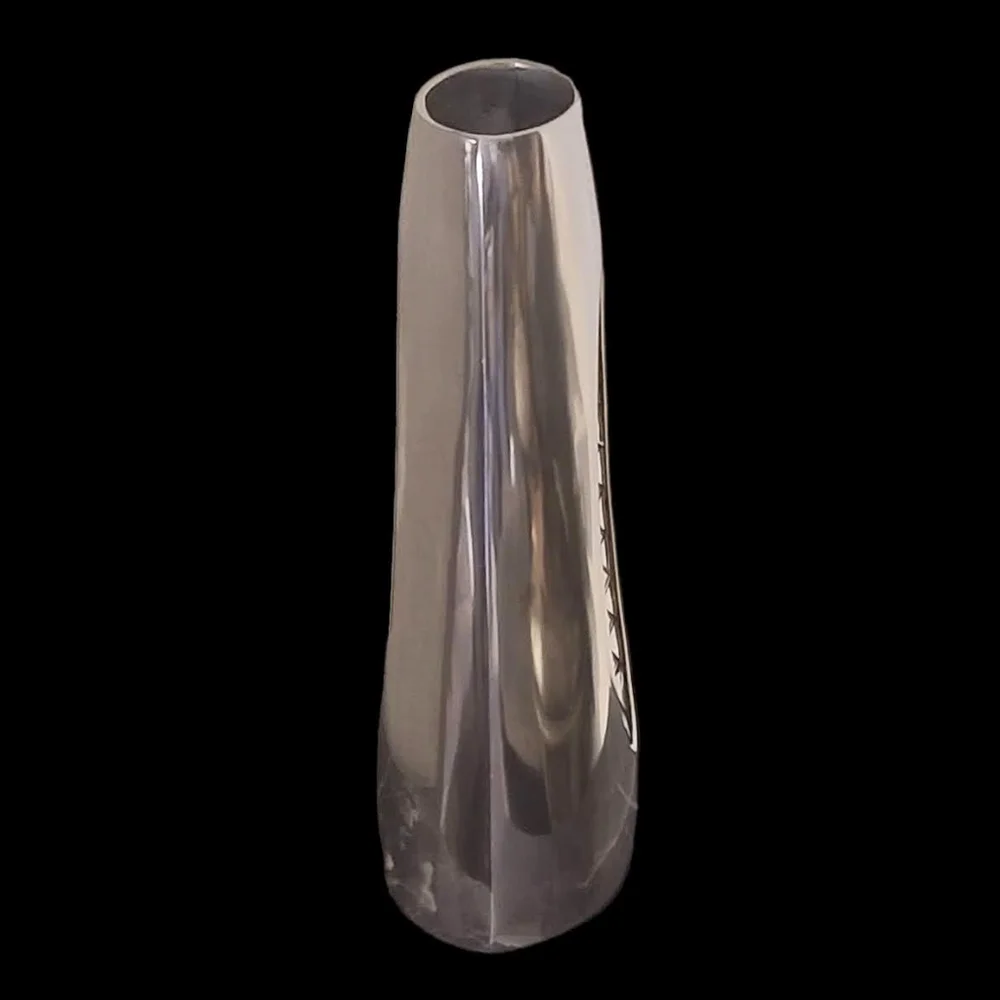 Pier 1 Imports Silver Vase